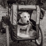 Велосипедист на экологичном маршруте в природе