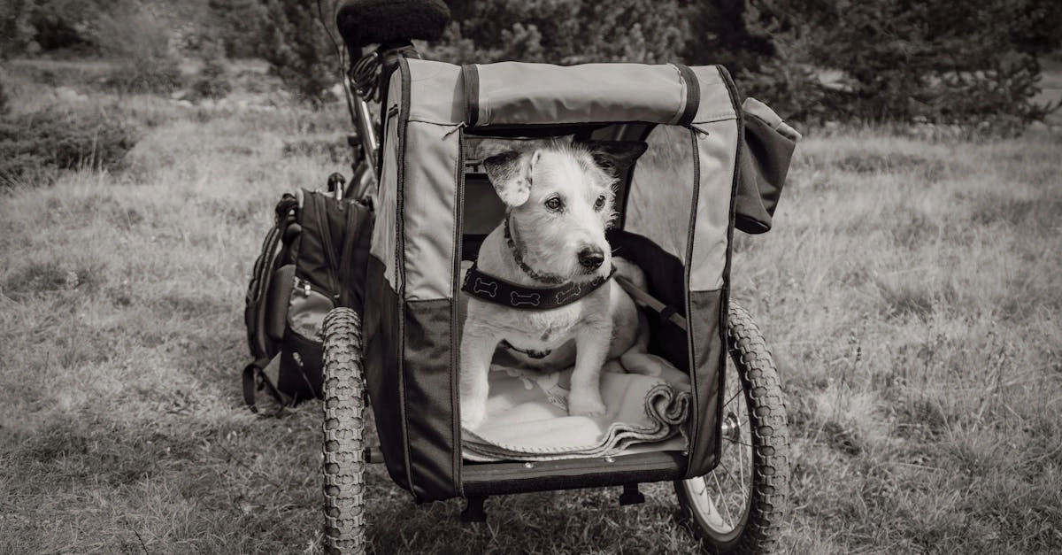 Велосипедист на экологичном маршруте в природе