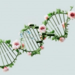 Цифровые развлечения как экологичная альтернатива традиционным