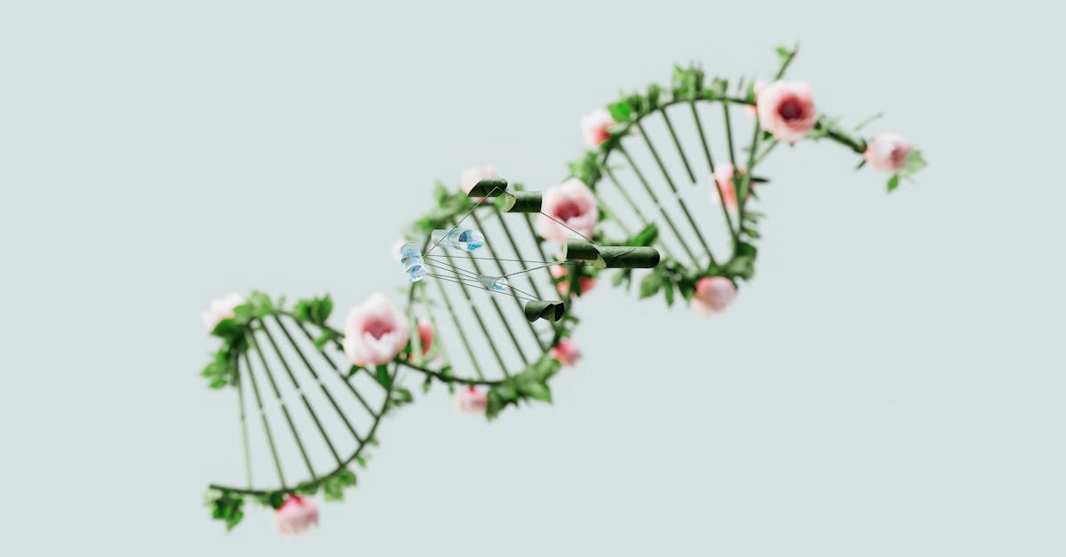 Цифровые развлечения как экологичная альтернатива традиционным