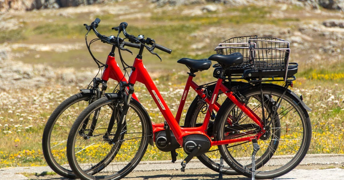 Велосипедист выбирает между экологичными развлечениями и онлайн играми